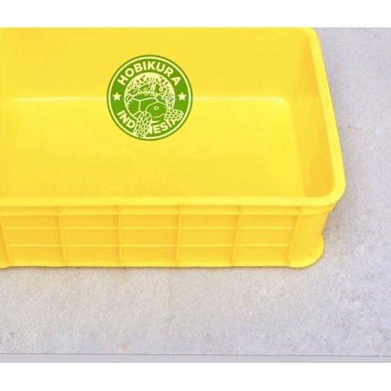 Kontainer Box / Kandang Kura - Kura Darat / Torto / Sulcata / Pardalis - Kuning
