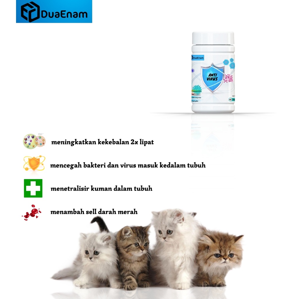 DUAENAM ANTI VIRUS FIP kucing