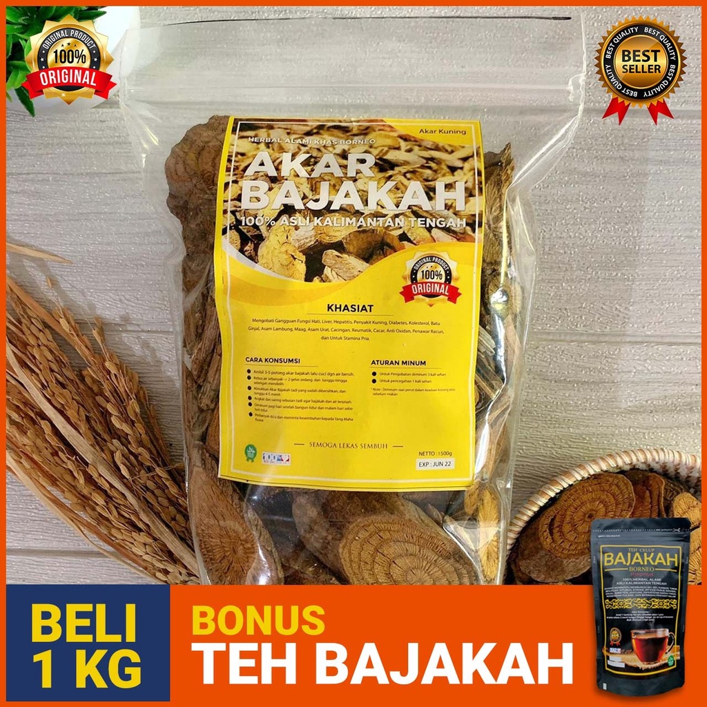 Bajakah AKAR KUNING Siap seduh Asli kalimantan 100% Original Untuk Stamina Pria, Liver, Diabetes