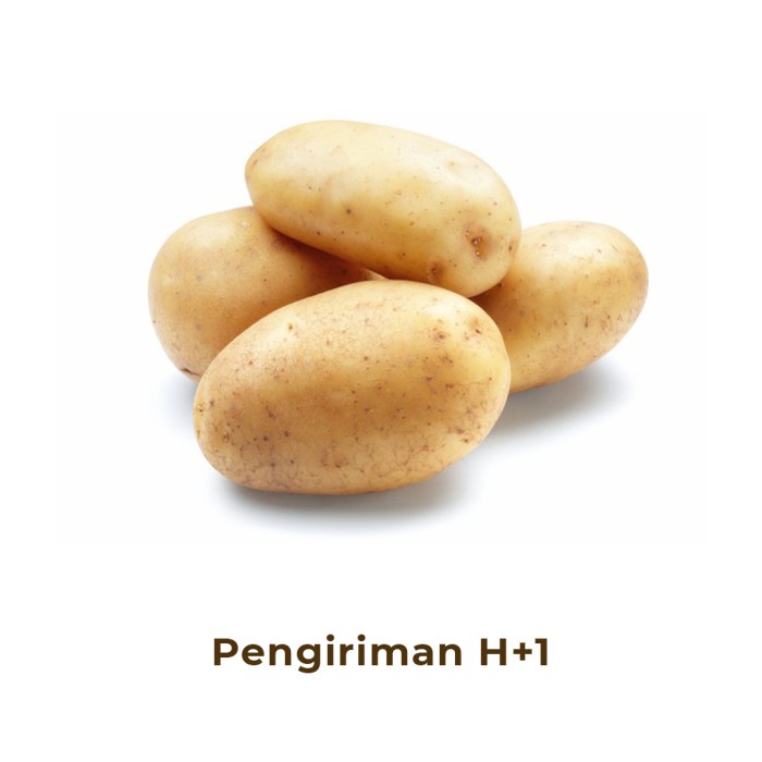 

Kentang Segar