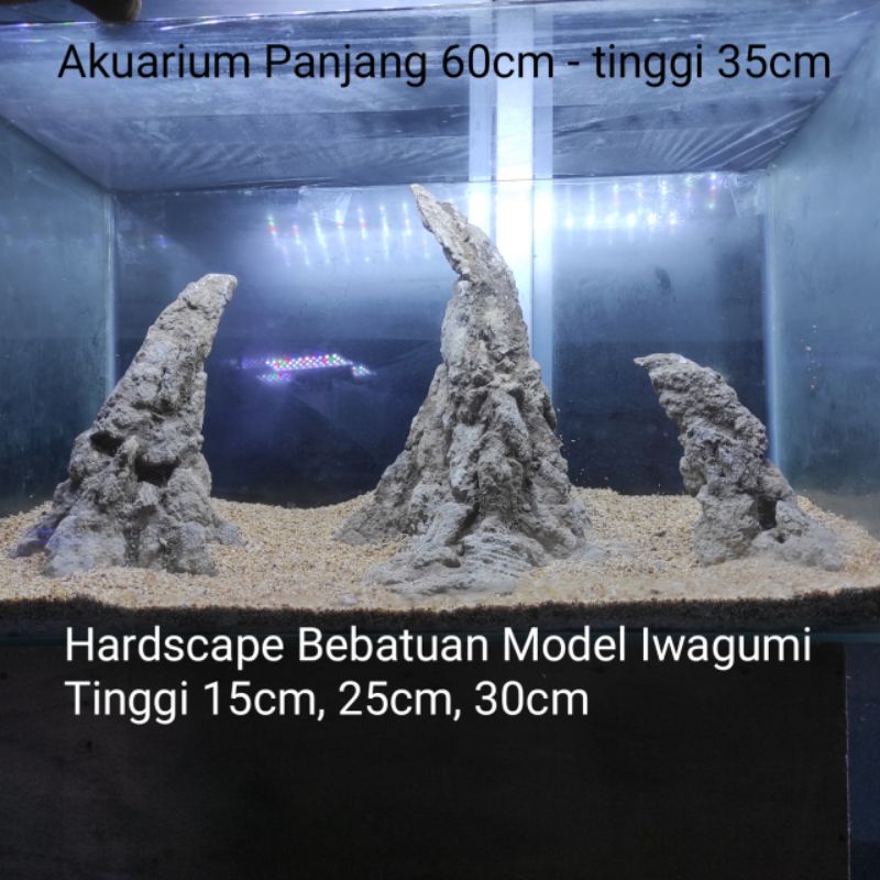 Hardscape aquascape batu iwagumi aquarium