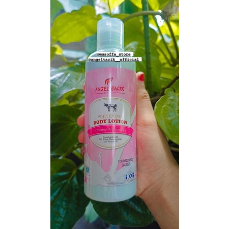 3 paket Hb angel tacik