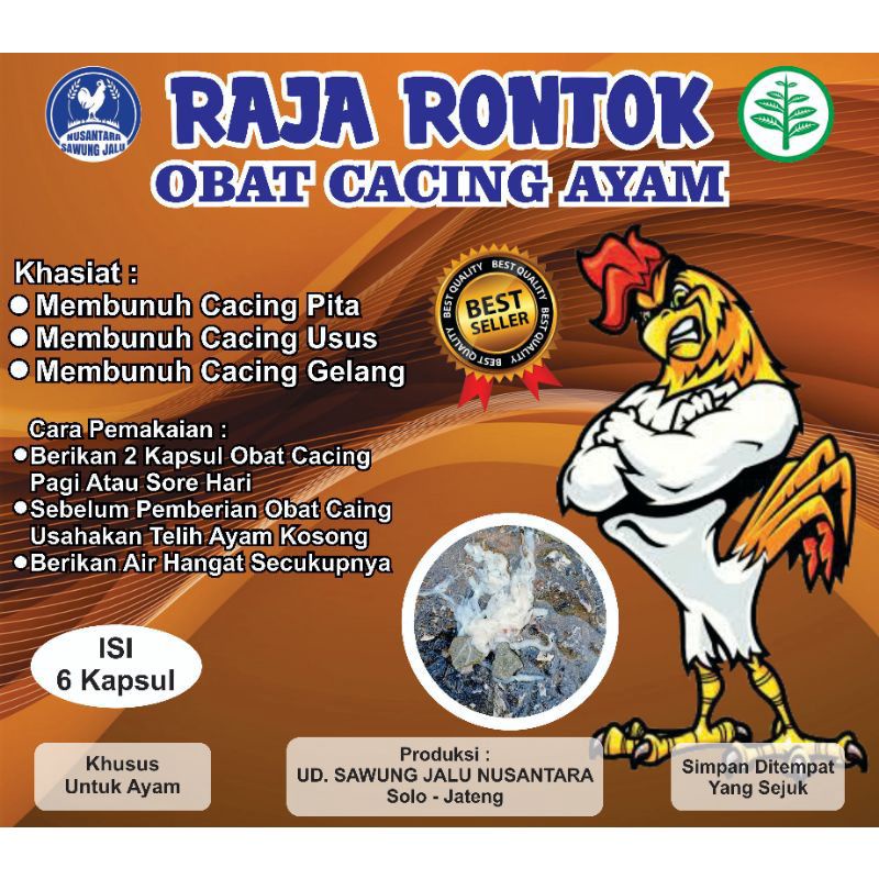 RAJA RONTOK OBAT CACING AYAM HERBAL MEMBASMI CACING GELANG PITA USUS PADA AYAM & MERPATI ISI 6 KAPSU