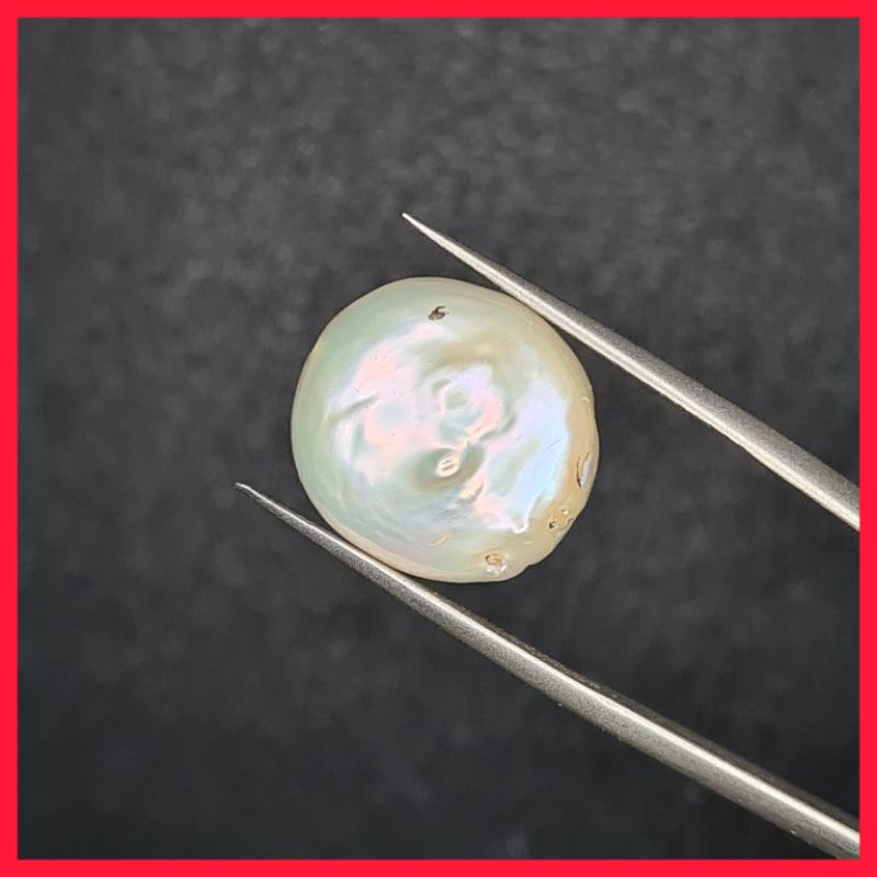 Natural Pearl 8.05ct Batu Mutiara Air Laut XT171