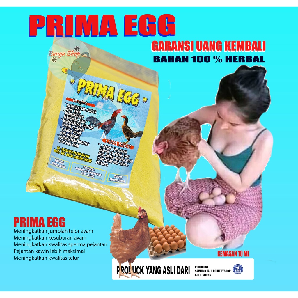 PRIMA EGG-(PENYUBUR AYAM)-(OBAT,JAMU,VITAMIN,AYAM,JAWA,AYAM,JAGO,AYAM ADUAN,,AYAM KAMPUNG)