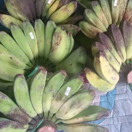 

BUAH PISANG KEPOK KUNING SUPER 1 SISIR