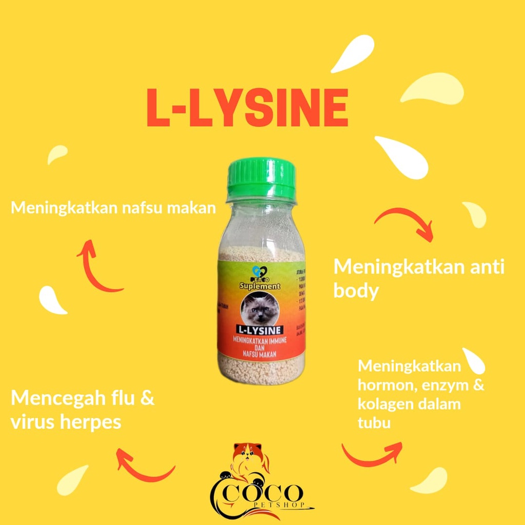 L -LYSINE