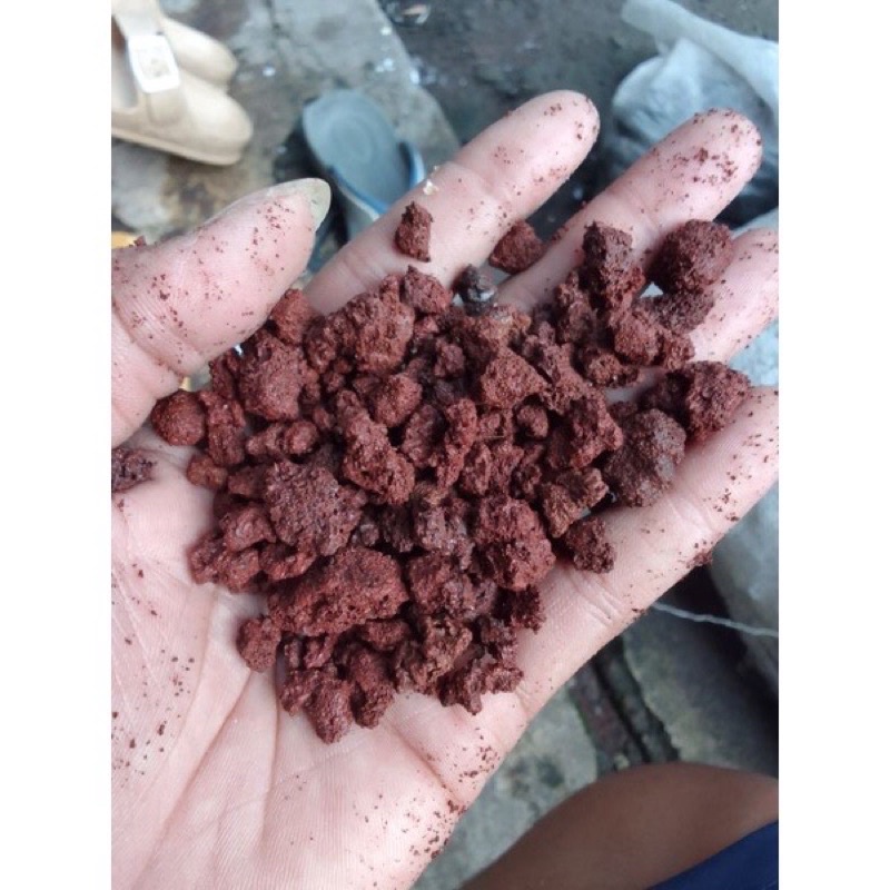 Pasir Merah Malang Bromo 1 kg halus kasar chana maru