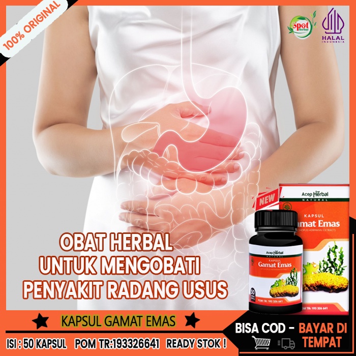 Obat Untuk Penyakit Radang Usus, Kapsul Gamat Emas Obat Radang Usus Yang Aman, Obat Penyakit Radang 