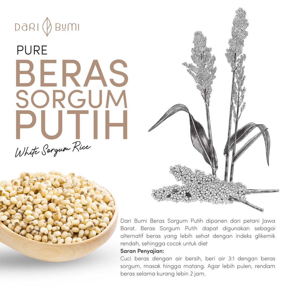 Beras Sorgum Putih Kupas 1 Kg Dari Bumi Diet Sehat Gluten Free