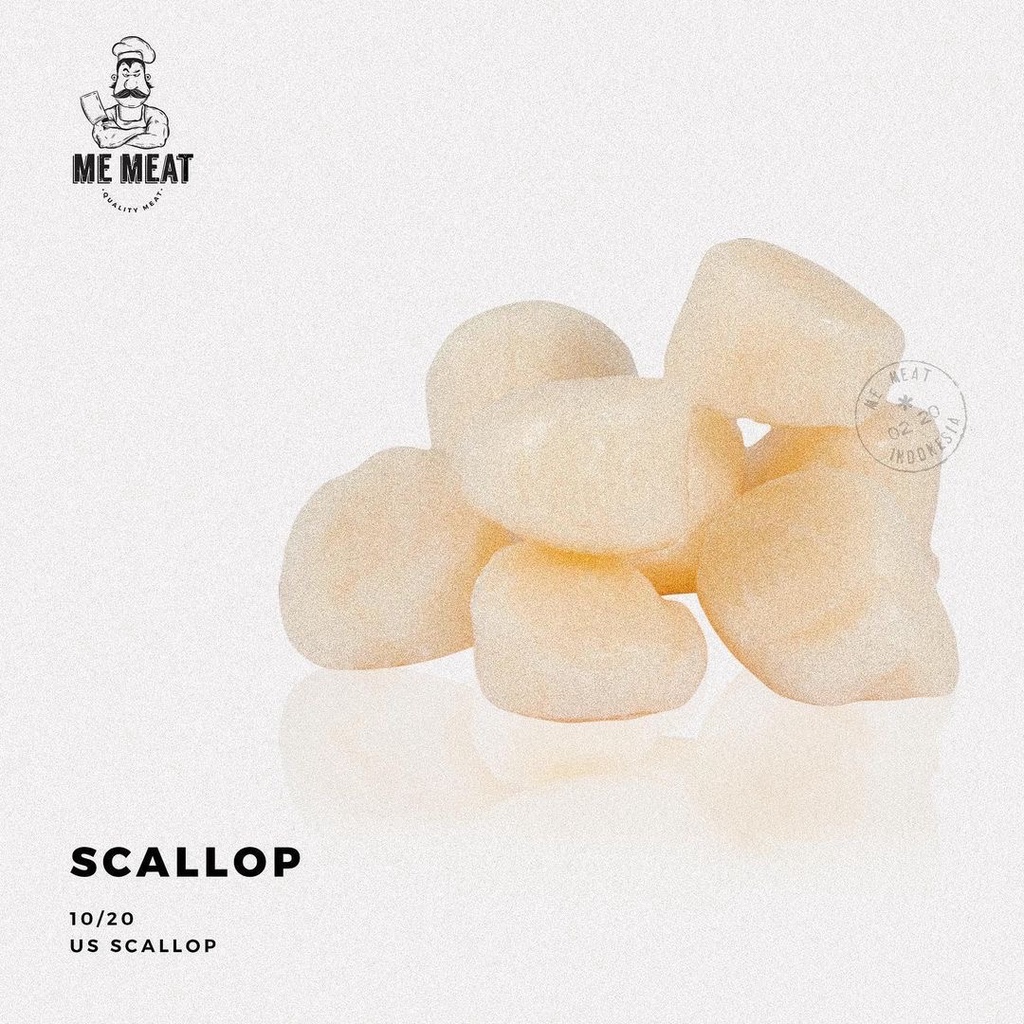 

Scallop - Seafood