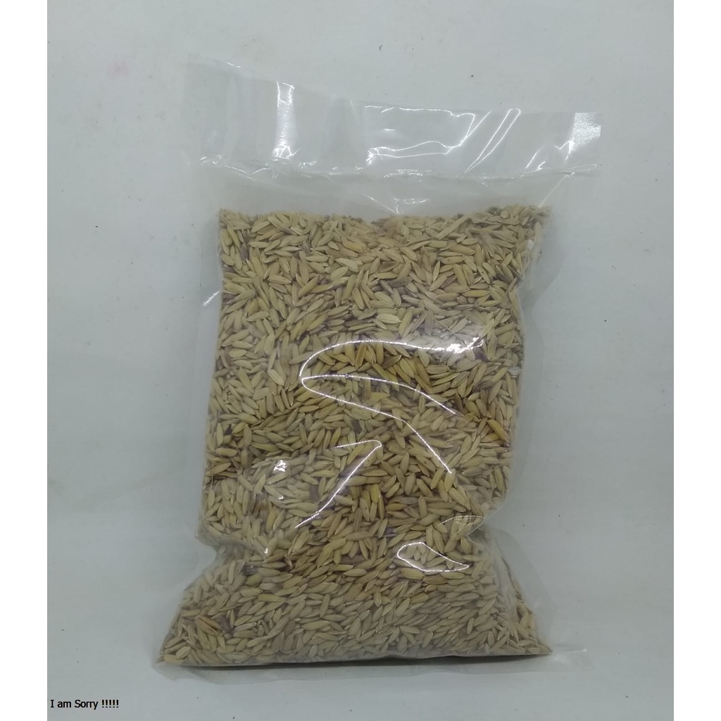 GABAH MERAH 500GR PAKAN MAKANAN BURUNG LOVEBIRD PERKUTUT KENARI