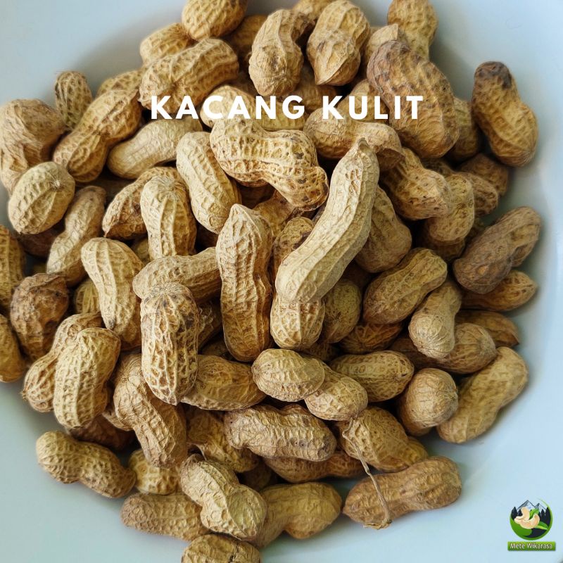 

Kacang Kulit Sangan 500gram