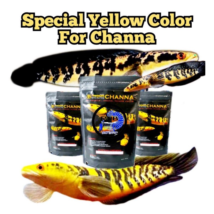 pelet Yellow Maru (Channa Special Yellow Color)