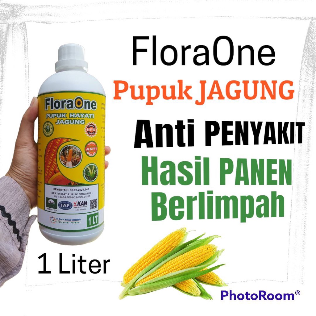 Pupuk Hayati Cair jagung POD, FLORAONE untuk Pengendali Penyakit Busuk Tongkol Diplodia pada jagung manis