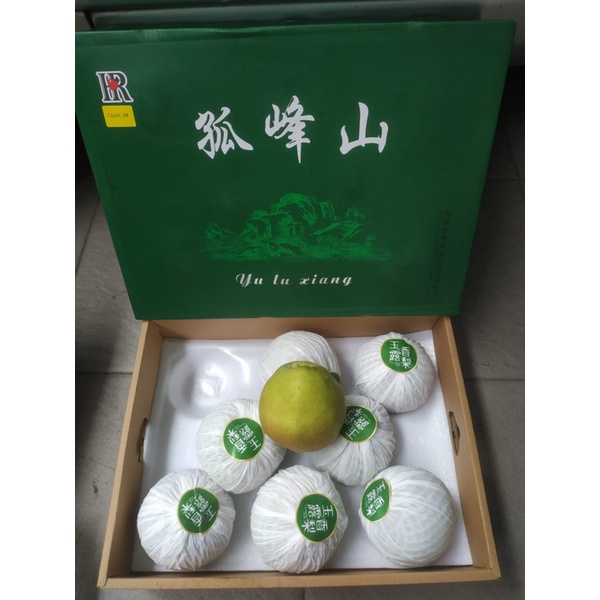 Buah Pear Pir Xiangli Snow 1 Dus (4 KG) Fresh Import