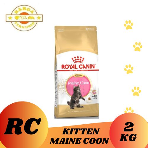 Royal Canin Maine Coon Kitten 2Kg - Makanan Kucing