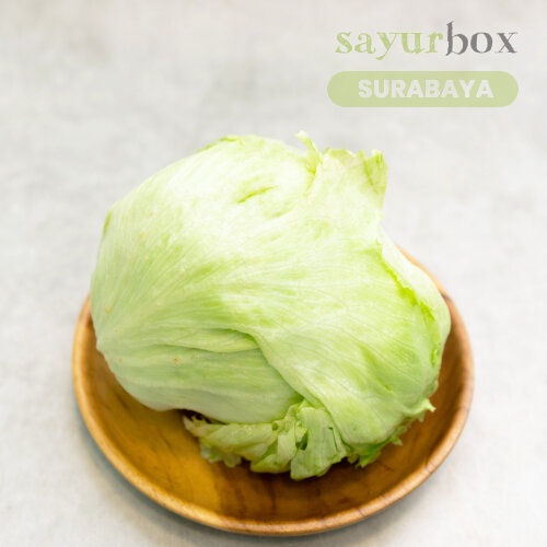 

Selada Iceberg Konvensional 500 gram (Sayurbox) - SURABAYA