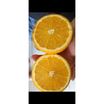 

Navel Sunkist Australia