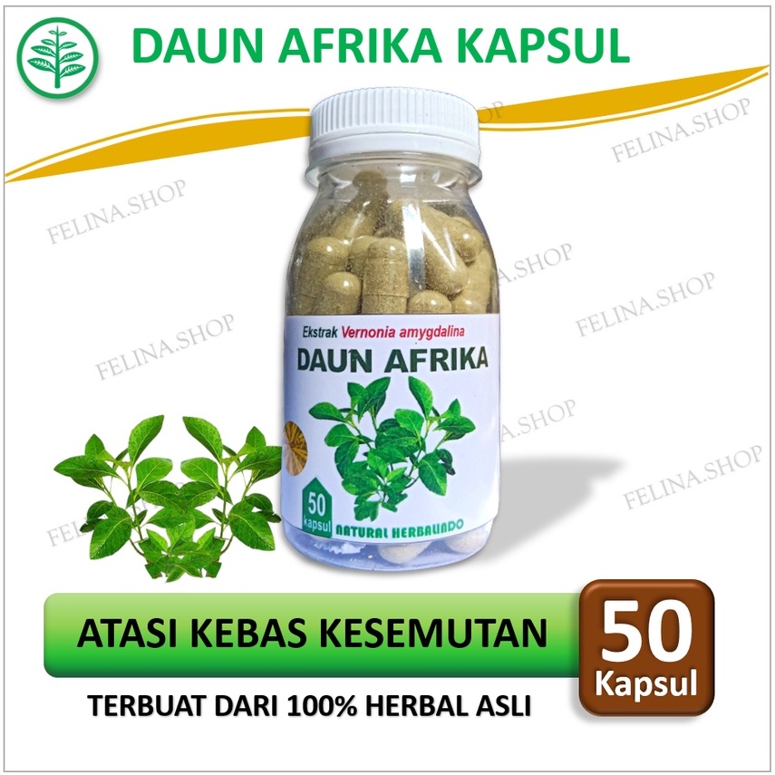 Daun afrika isi 50 kapsul herbal stroke obat strok jamu kolesterol hipertensi kebas kesemutan mati r