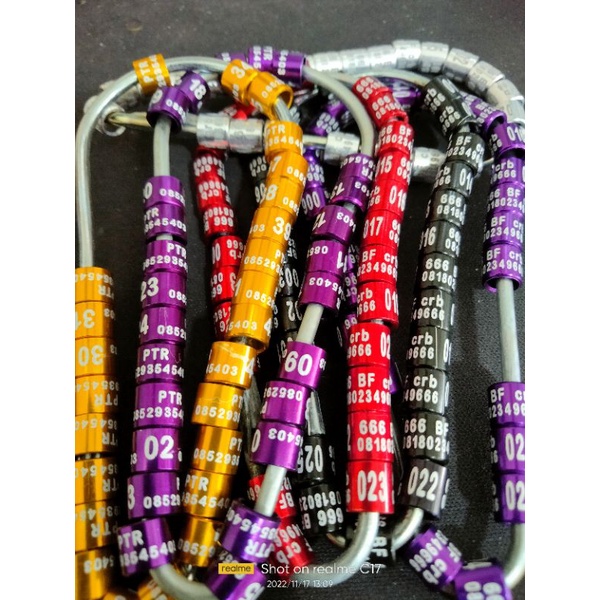 Ring identitas burung murai batu bisa pesan nama