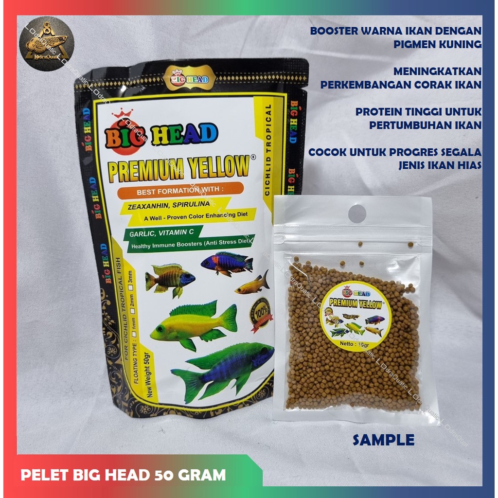 PELET BIG HEAD 50 GRAM PELET PROTEIN TINGGI SPESIAL BOOSTER WARNA CHANNA  PELET LOUHAN ANTI STRESS PELET PREDATOR PELET PREMIUM YELLOW PREMIUM RED PREMIUM BLUE PELET BIG HEAD PLATINUM BOOSTER WARNA IKAN PELET CUPANG GUPPY CICHLID LOUHAN CHANNA ARWANA