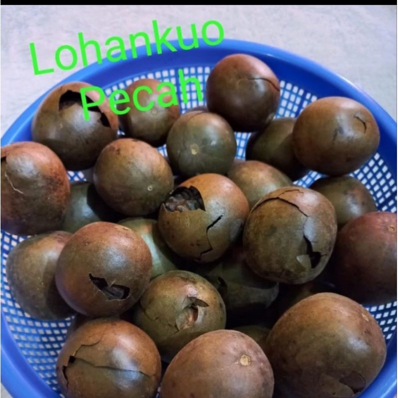 

Lohankuo besar pecah 1biji