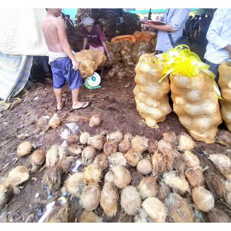 

KELAPA KUPAS TERBAIK!!