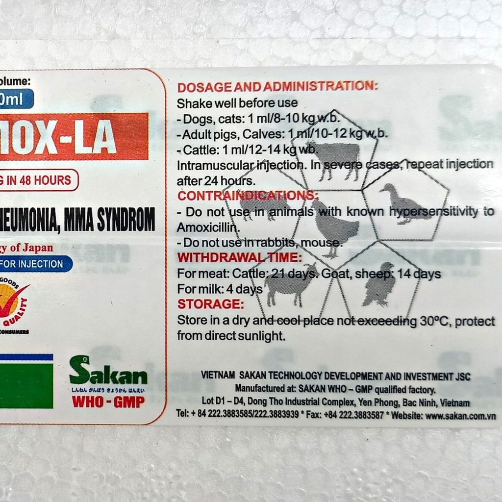 SK AMOX LA (Amoxcillin 15%) | Obat Infeksi Pada Ayam Sapi Kambing Babi Kucing Anjing | Mirip Betamox Intramox Amoxykep