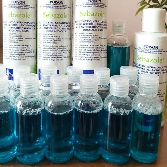 SEBAZOLE 50 ML SHAMPO KUCING ANJING SEBAZOLE SHAMPO R KUTU
