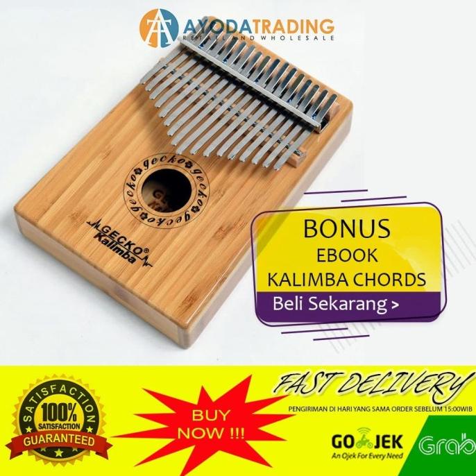 Paket Authentic Gecko Kalimba K17BA Hard Case