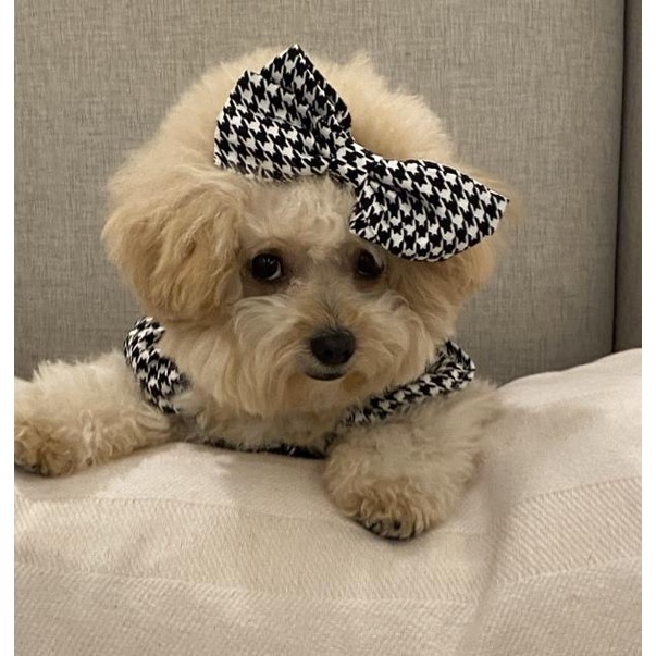 baju anjing poodle jumpsuit houndstooth free pita pawpawsome projects - Hitam, S