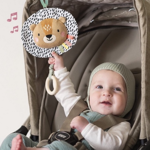 Taf Toys MUSICAL Kimmy Koala / Harry The Lion - Taftoys Mainan Gantung Bayi Musik Melody Soother Sensory Motorik