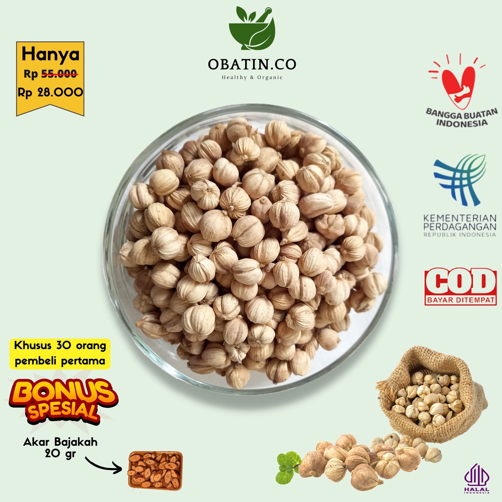 

Kapulaga Alami Premium Grade A JSR Rempah Herbal Obat Asam Urat & Lambung