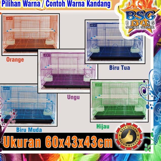 Kandang Jumbo Kucing / sugar glider / kelinci / burung / hamster dll - Putih