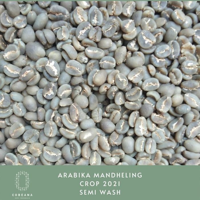 

Sale Biji Kopi Arabika Mandheling 1kg Greenbean /KOPI RUBE/KOPI SLB/KOPI KAPAL API/KOPI RUBE