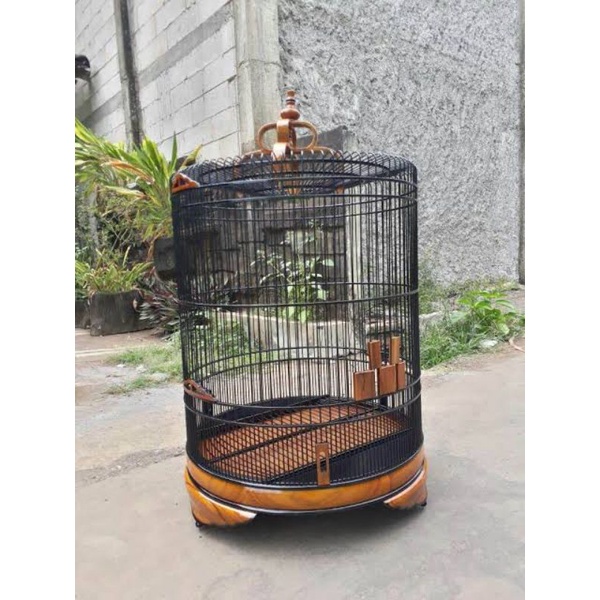 Sangkar Burung Murai Batu Jati Polosan