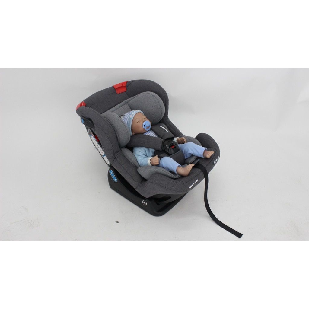 BABYDOES CARSEAT WESTWOOD 873 / CARSEAT