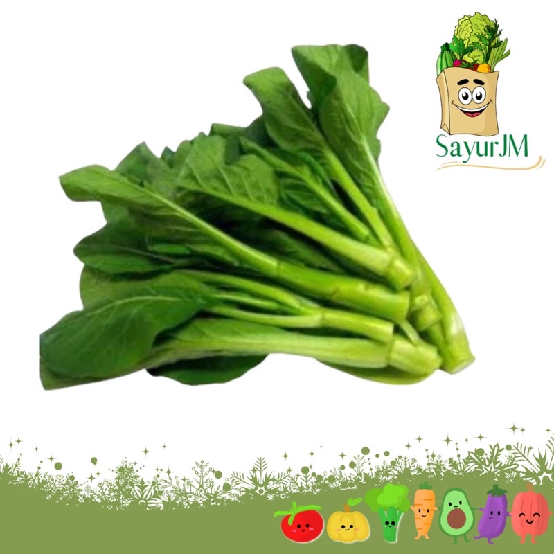 

SayurJM - Sayur Kailan 500gr / Sayur Segar / Sayuran Segar