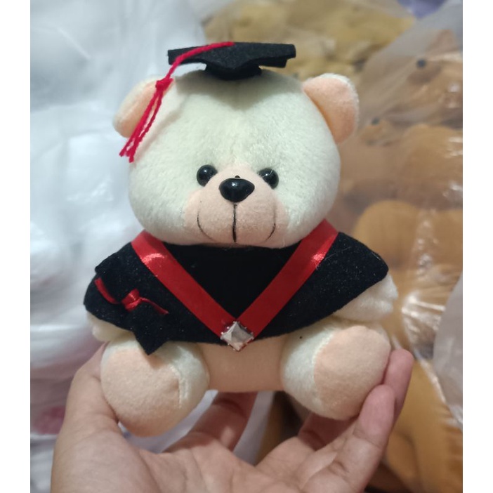 PROMO BONEKA WISUDA/BONEKA BUKET/BONEKA HAMPERS/BONEKA MURAH