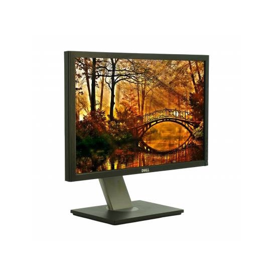 Monitor lcd 24 inch dell