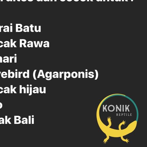 Calcinut BE / Kalsium Burung Unggas Ayam Pengganti Tulang Sotong