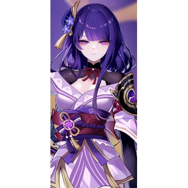 fullset raiden shogun