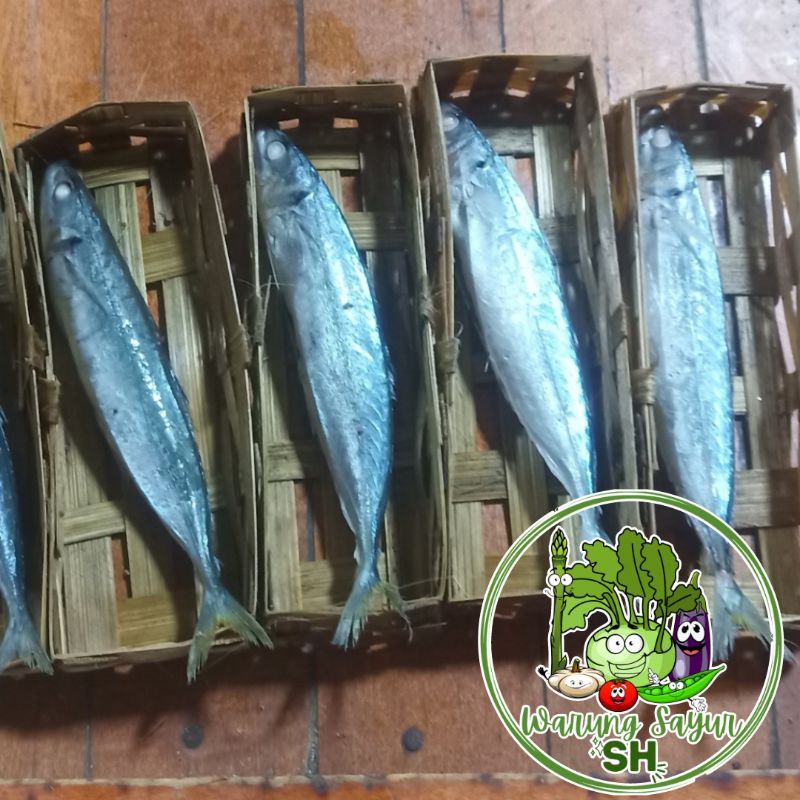 

ikan cue isi 3 | ikan selar isi 3 | cue keranjang isi 3 |ikan cue isi 2 | ikan selar isi 2 | cue keranjang isi 2 |ikan cue isi 1 | ikan selar isi 1 | cue keranjang isi 1