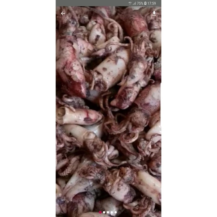

Shumamedan SOS Diskon Diskon CUMI BABY ASIN KEMASAN 1 KG