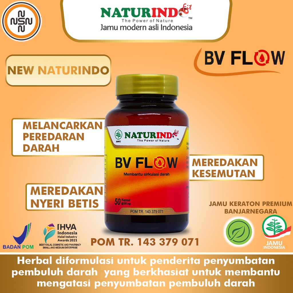 Obat darah kotor penyumbatan pembuluh darah pengencer darah kental bv flow premium