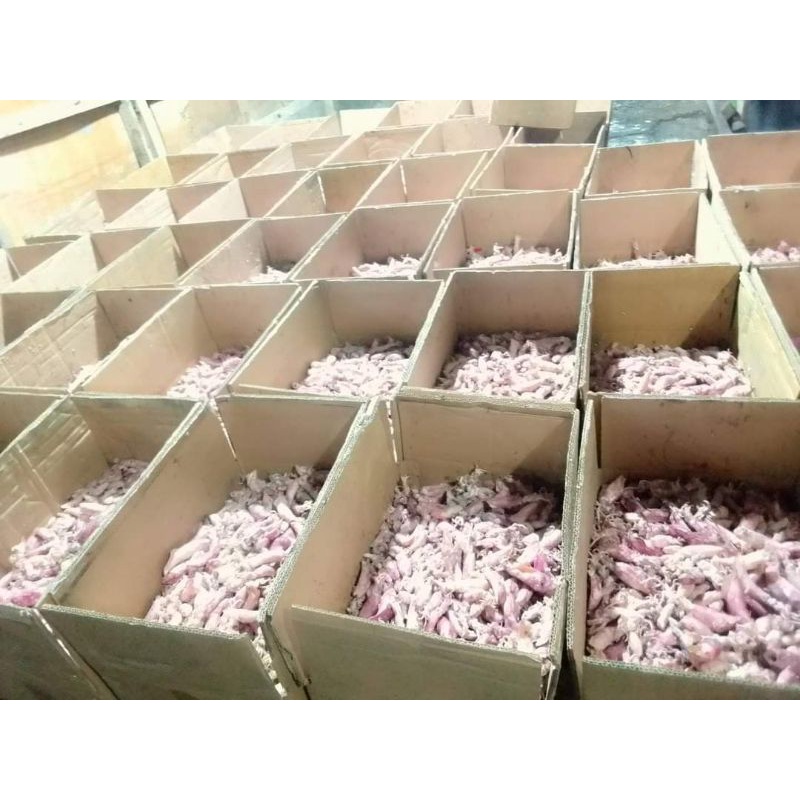 

Cumi kering Asin kualitas super