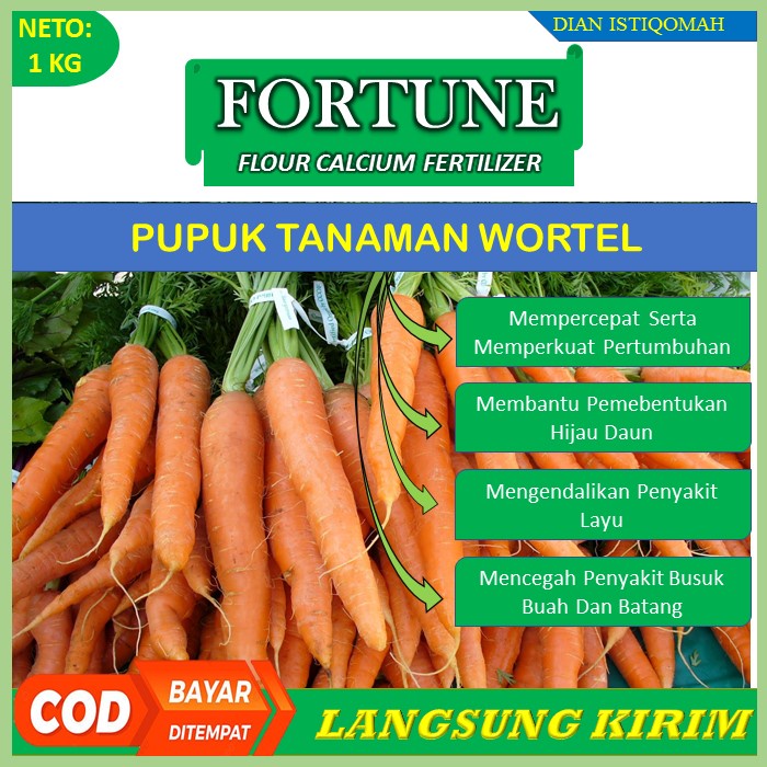 ( Terbaru ) Pupuk Kalsium FORTUNE 1 KG – Pupuk Untuk Tanaman Wortel - Obat Busuk Sayur Wortel – Pupu