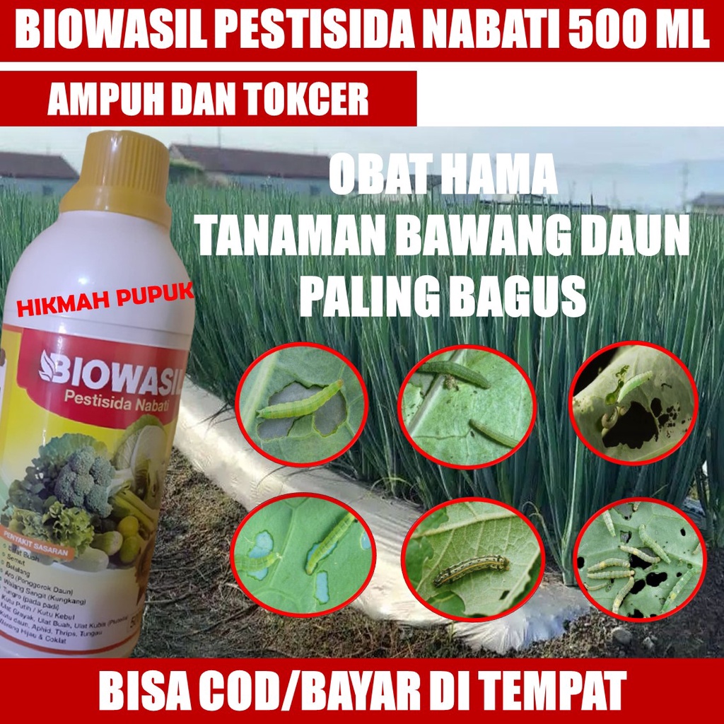 BIOWASIL PESTISIDA HAMA ULAT BAWANG DAUN, & BAWANG MERAH, CABE, JAGUNG Obat Hama Ulat Bawang Daun, P