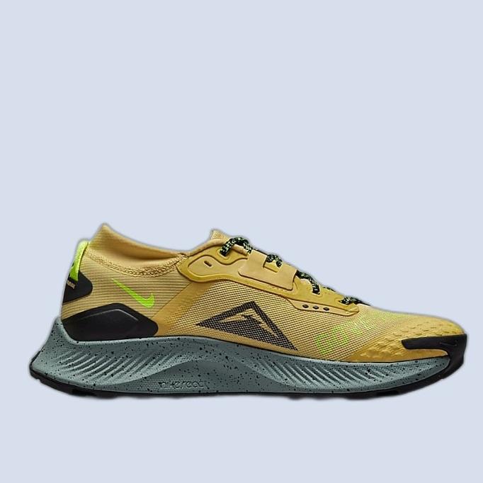 Running Shoes Nike Pegasus Trail 3 Gore-Tex Authentic100 Atormelzi